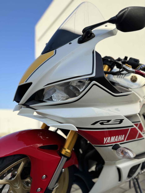 YAMAHA YZF R3 320 ABS, Foto 3