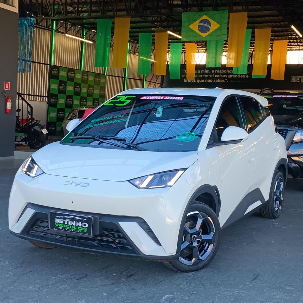 BYD Dolphin