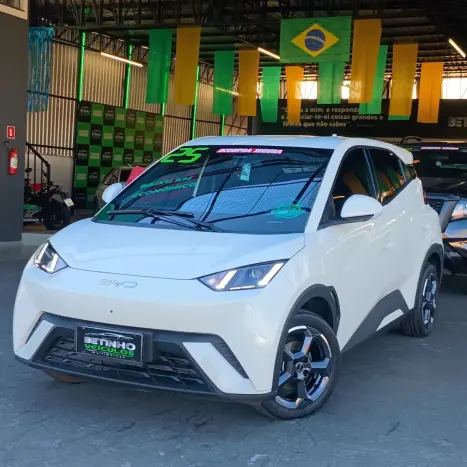 BYD Dolphin 44,9 KW EL�TRICO GS, Foto 1