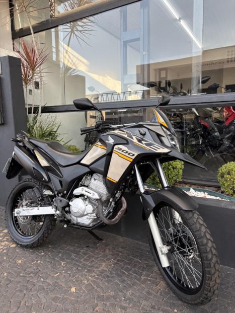 HONDA XRE 300 ADVENTURE, Foto 3