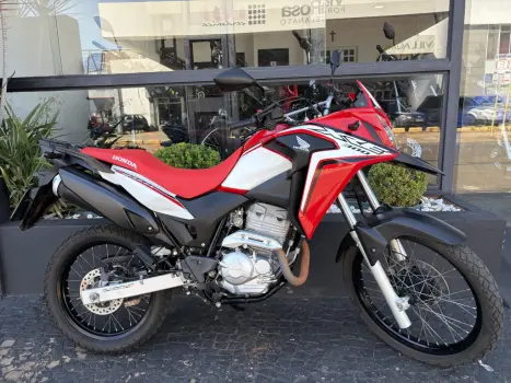 HONDA XRE 300 RALLY ABS, Foto 1