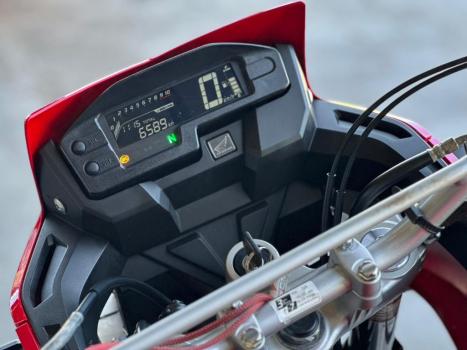 HONDA XRE 300 RALLY ABS, Foto 5