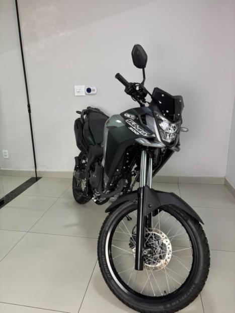 HONDA XRE 300 Sahara , Foto 4