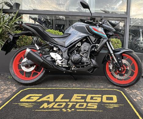 YAMAHA MT-03 300 , Foto 1