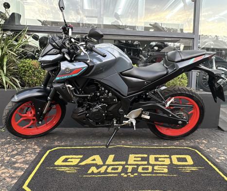 YAMAHA MT-03 300 , Foto 2