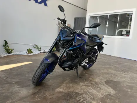 YAMAHA MT-03 300 ABS, Foto 2