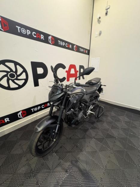 YAMAHA MT-03 300 ABS, Foto 6