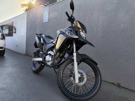 HONDA XRE 300 ADVENTURE, Foto 2