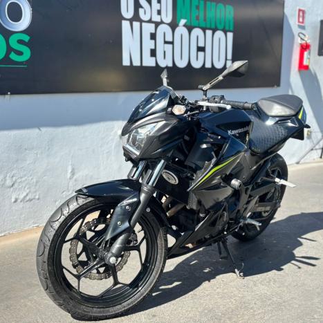 KAWASAKI Z 300 ABS, Foto 1