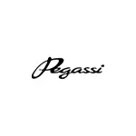 Logo PEGASSI